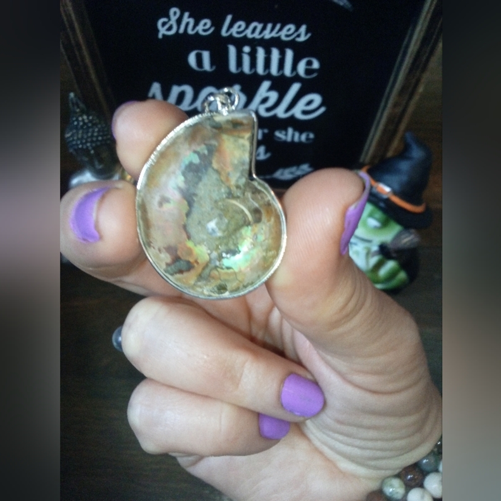 Ammolite Fossil Pendant